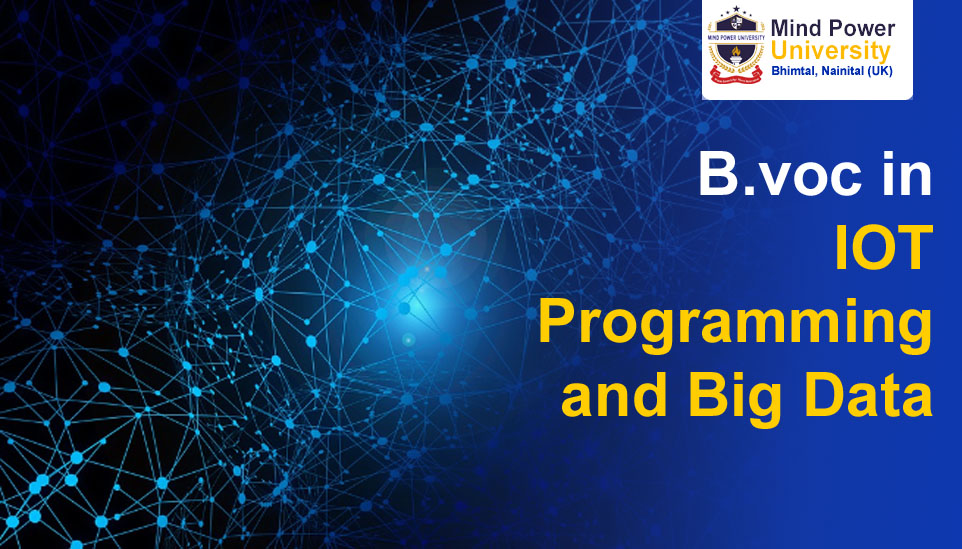 B.Voc in IOT Programming and Big Data Fees